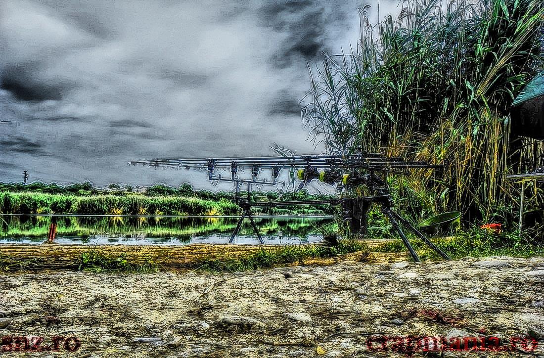 Senior Trophy - 2013 - 1012011hdrmode2.jpg